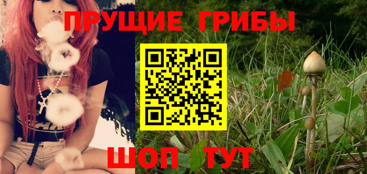 Псилоцибиновые грибы Psilocybe  Вход с VPN  Екатеринбург  Галлюциногенные грибы Psilocybine cubensis 