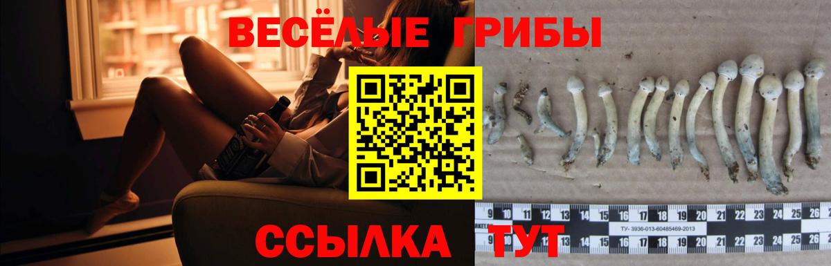 Галлюциногенные грибы Psilocybine cubensis Екатеринбург